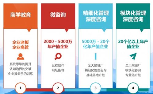 朗歐咨詢 解鎖包裝行業(yè)精細(xì)化轉(zhuǎn)型新路徑的專業(yè)伙伴